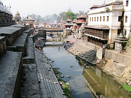 nityananda institute