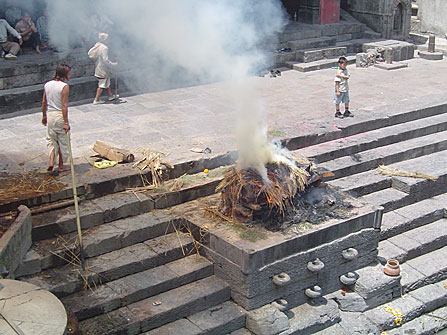 nityananda institute