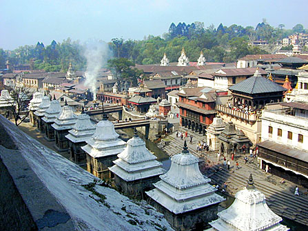 nityananda institute