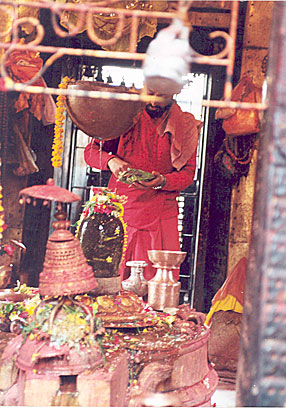 nityananda institute