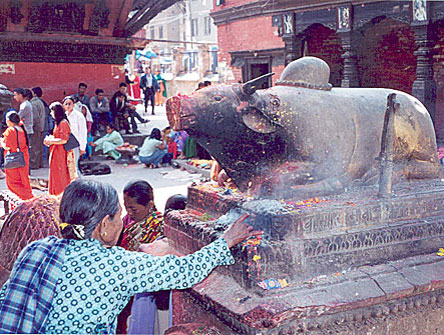 nityananda institute